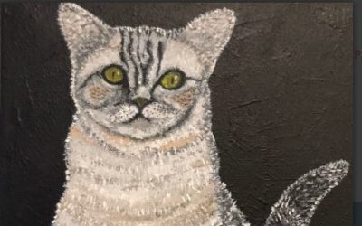 Animals – Animaux